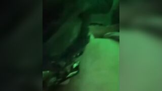 baddienbeast-mp4 1 undulating webcam model
